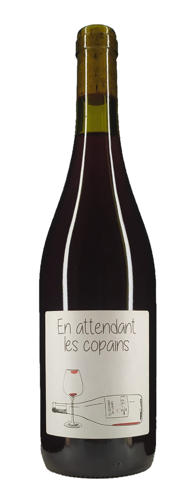 Domaine du Petit Oratoire - En attendant les copains - 2022 - 11,5% -VdF région Côtes du Rhône