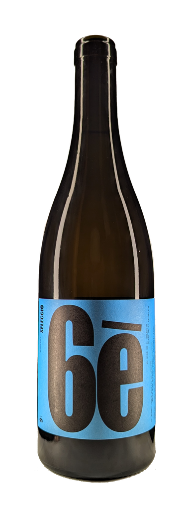 Celler 9+ - Moisès Virgili - Mèdol Selecció 6E Muscat - 2023 - 12% - vdm (regio Tarragona) (kopie)