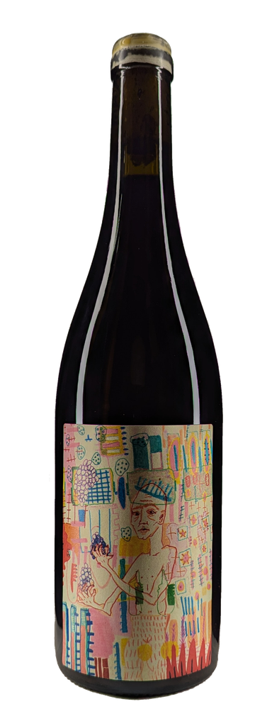 Domaine Mada - Edouard Adam - Genesis - 2022 - 12,5% - VdF région Languedoc