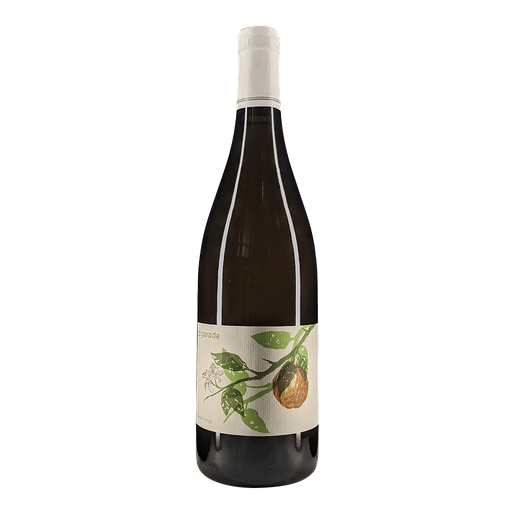 [FR-JR-OW-BIG20] Domaine Des Jus Et Du Lien - Julien Rousselot - Bigarade - 2020 - VdF région Loire