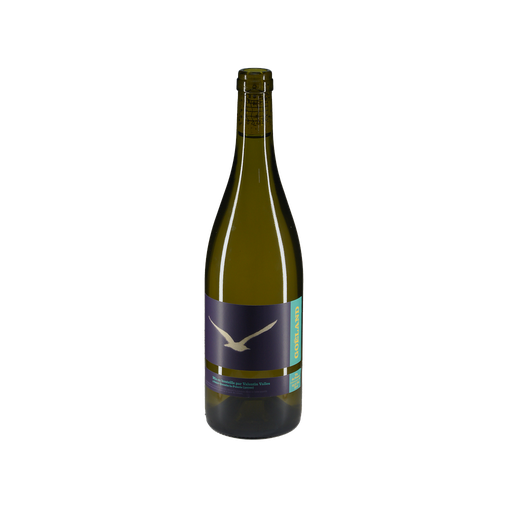 [FR-VV-OW-GOE21] Valentin Valles - Goëland - 2021 - 11,5 - VdF région Rhône